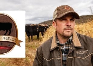 Bear Creek Cattle